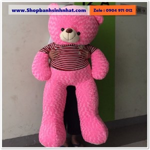 Gấu Bông Teddy Hàn Quốc - GAU58